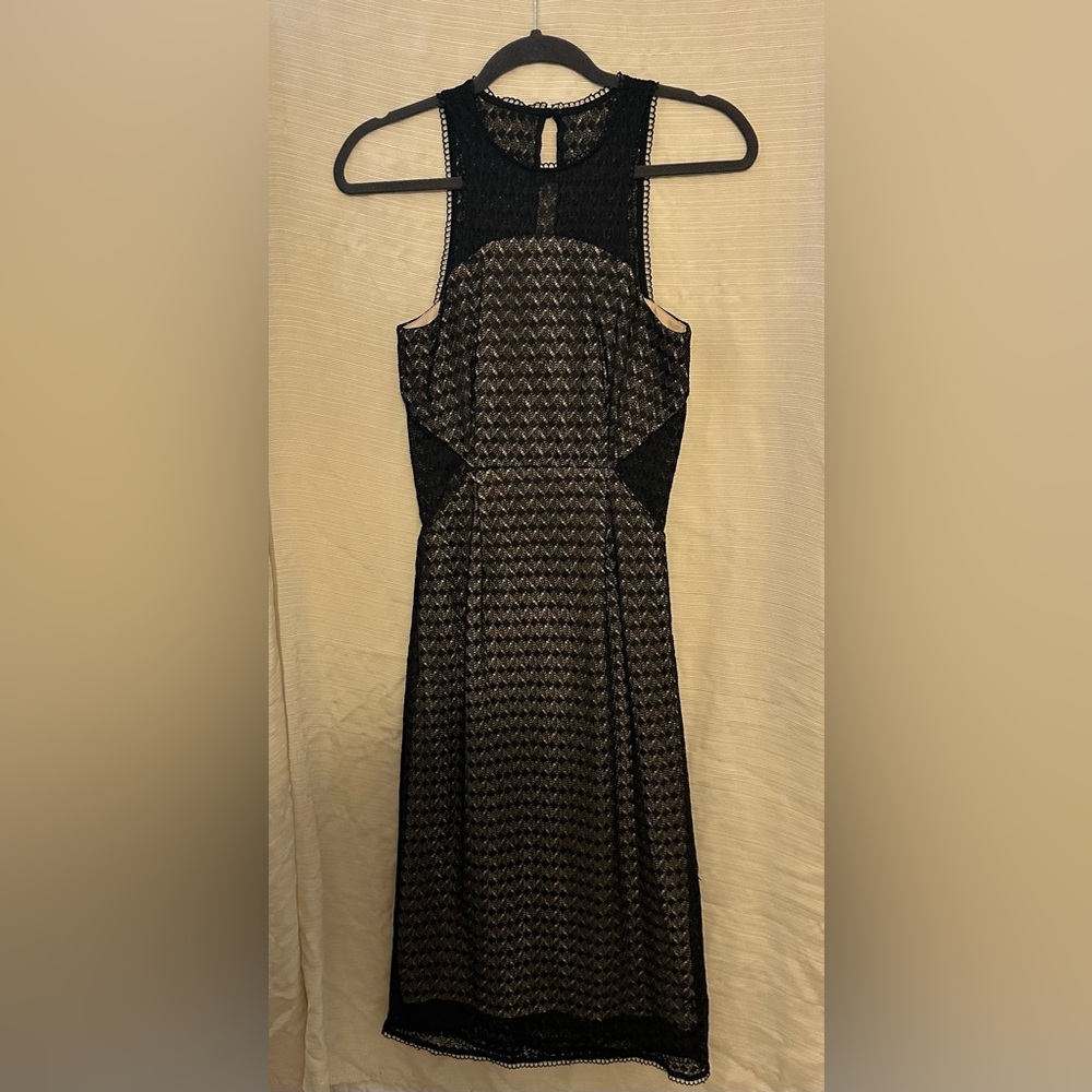 NSR Elegant Black and Nude Dress